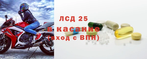 ПСИЛОЦИБИНОВЫЕ ГРИБЫ Алзамай