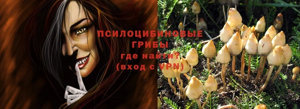 a pvp Алексин