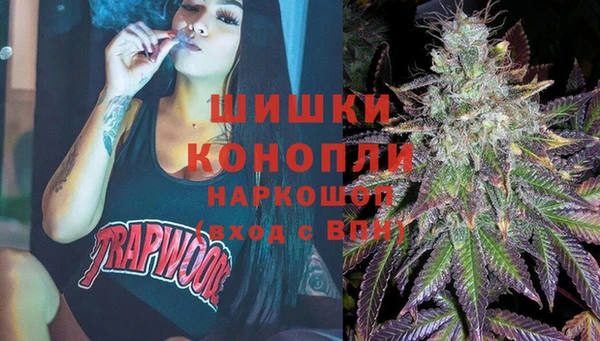 мдпв Пестово